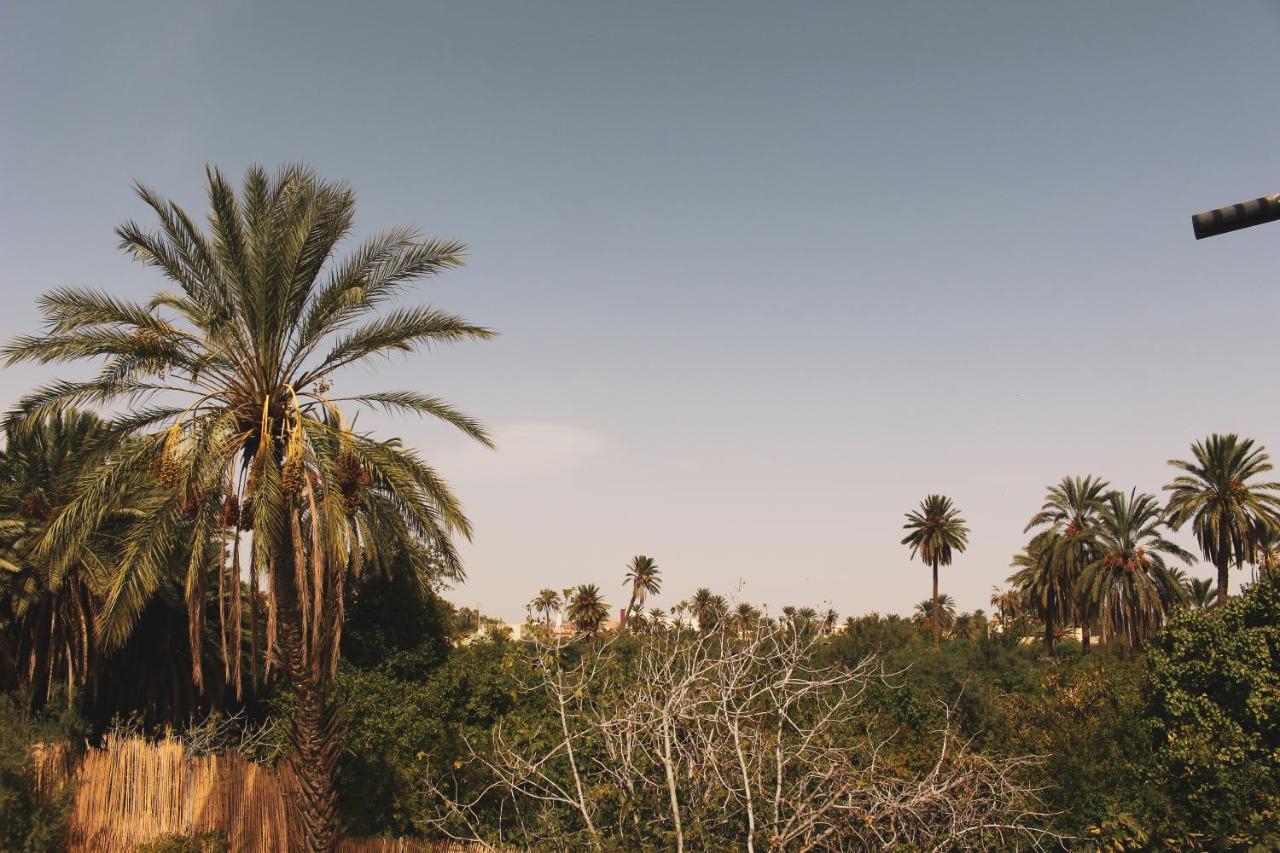 Dar Seddik 호텔 Gafsa 외부 사진