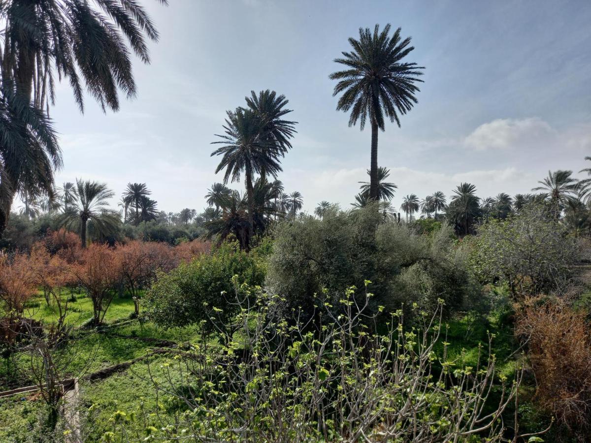 Dar Seddik 호텔 Gafsa 외부 사진