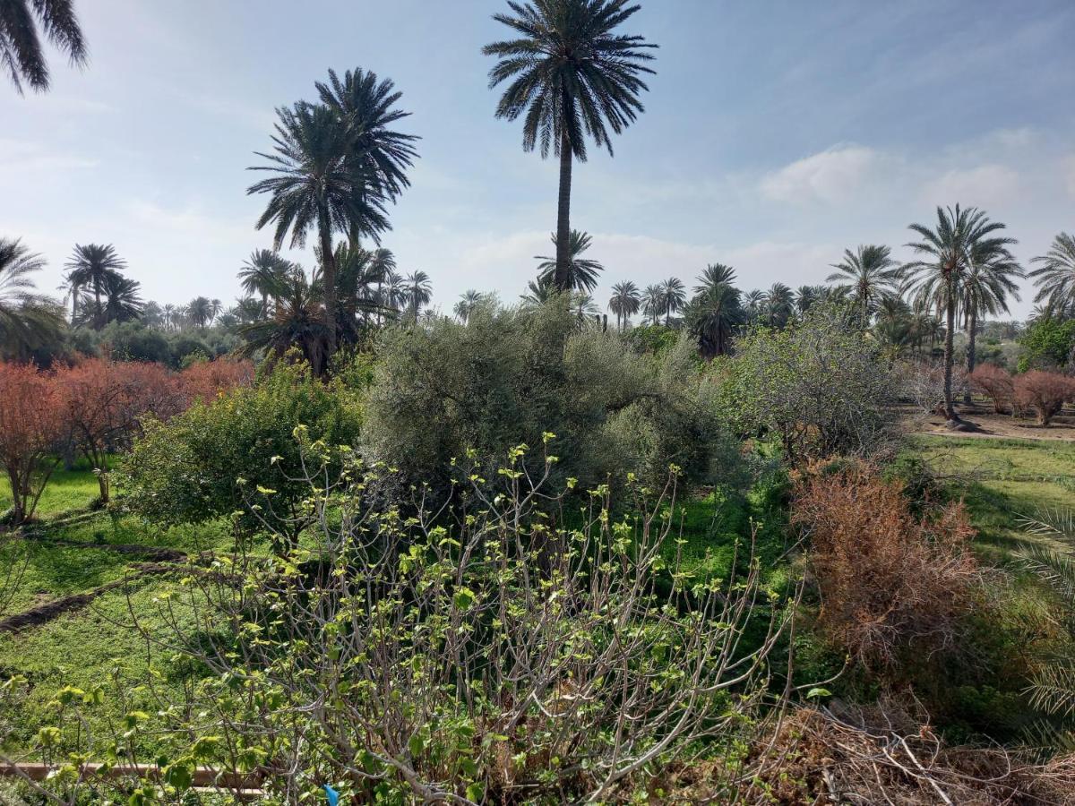 Dar Seddik 호텔 Gafsa 외부 사진
