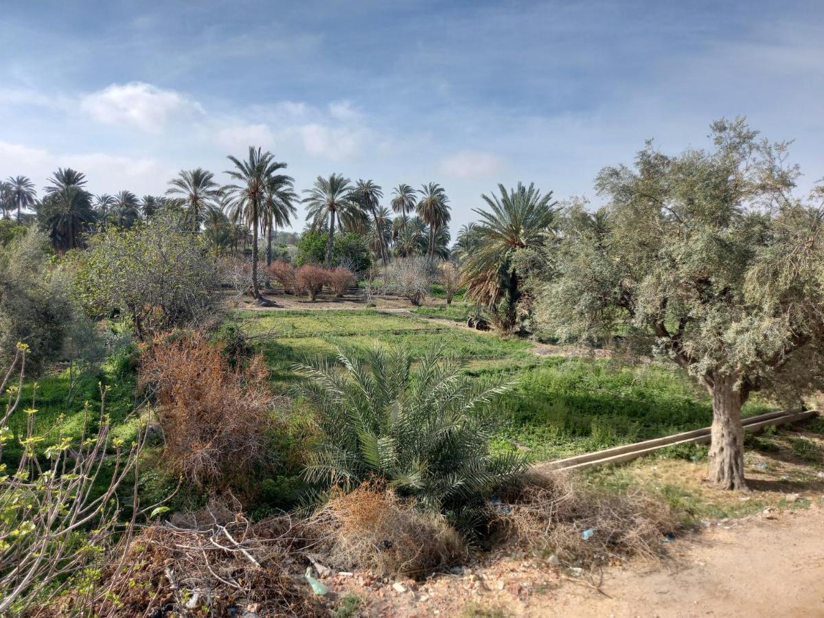Dar Seddik 호텔 Gafsa 외부 사진