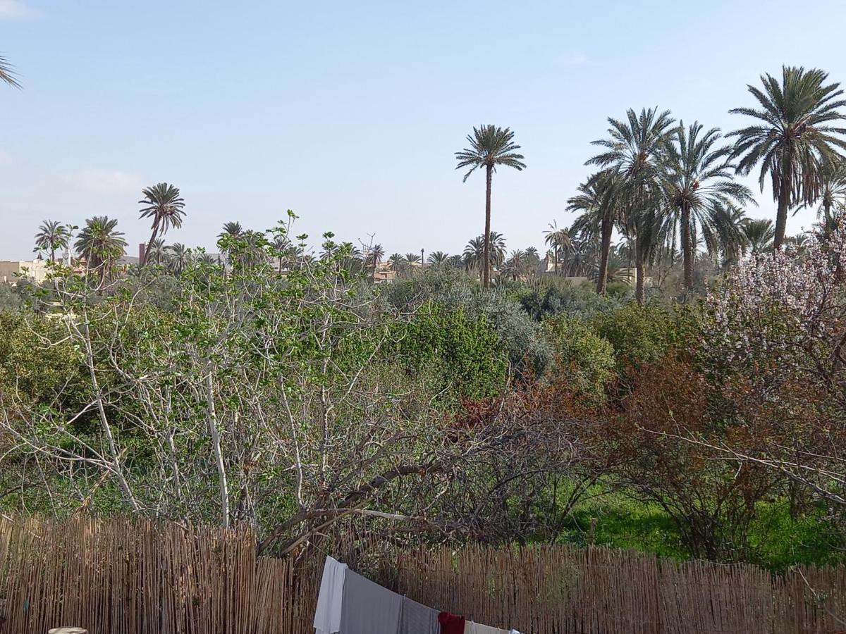 Dar Seddik 호텔 Gafsa 외부 사진